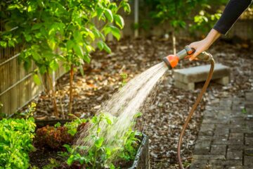 Une personne arrose les plantes de son jardin avec un système d'arrosage manuel