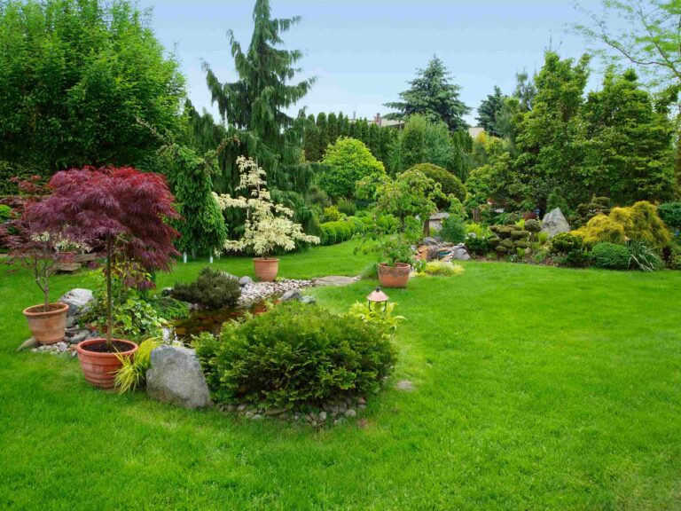 Un beau jardin paysager avec sa pelouse, ses plantyes et sa mare