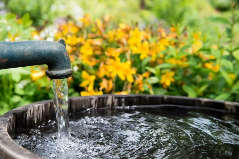 Un robinet à eau alimenté par une pompe à eau pour des économies dans l'entretien de son jardin