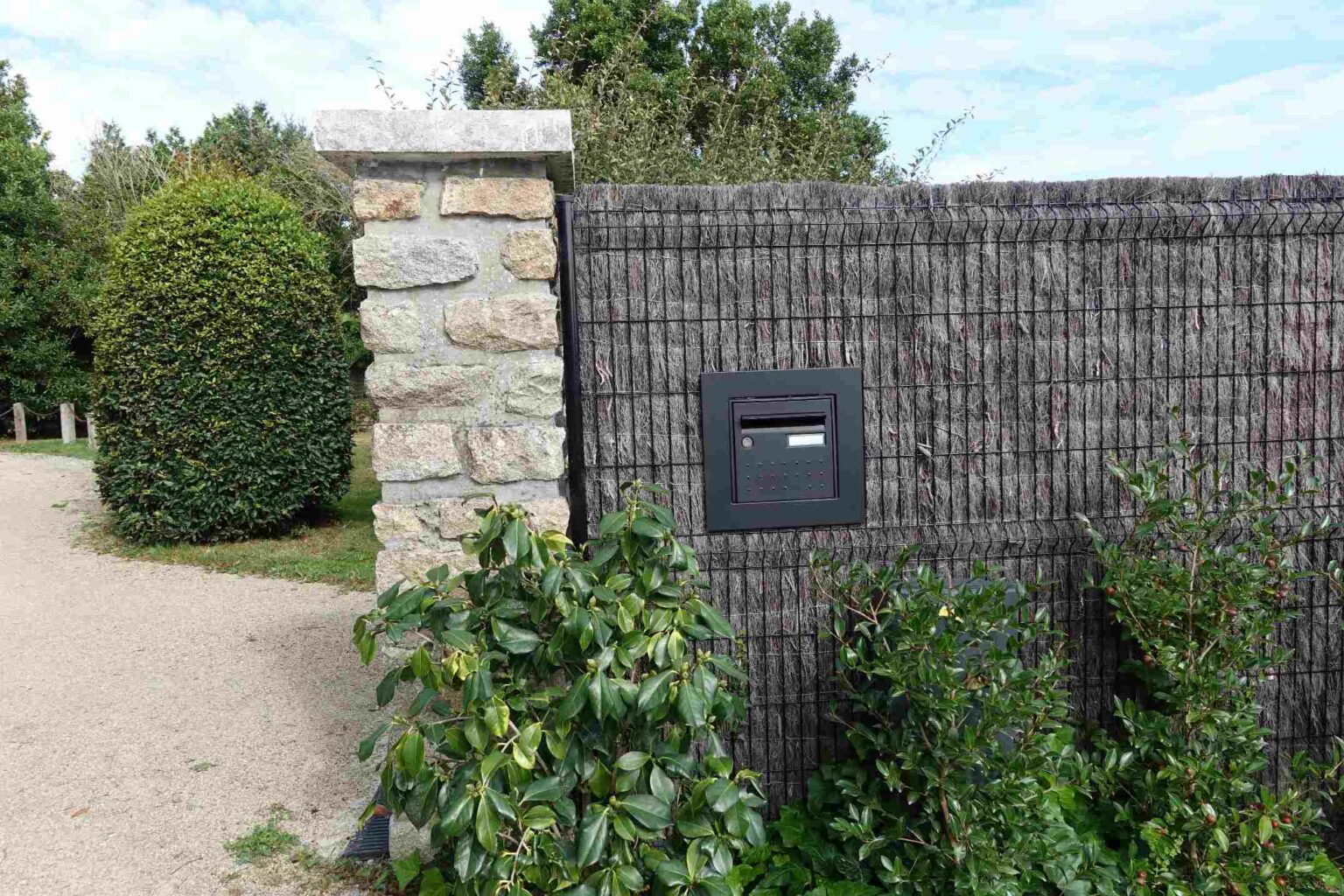 haie de jardin quels arbres ou arbustes pour une clôture végétale